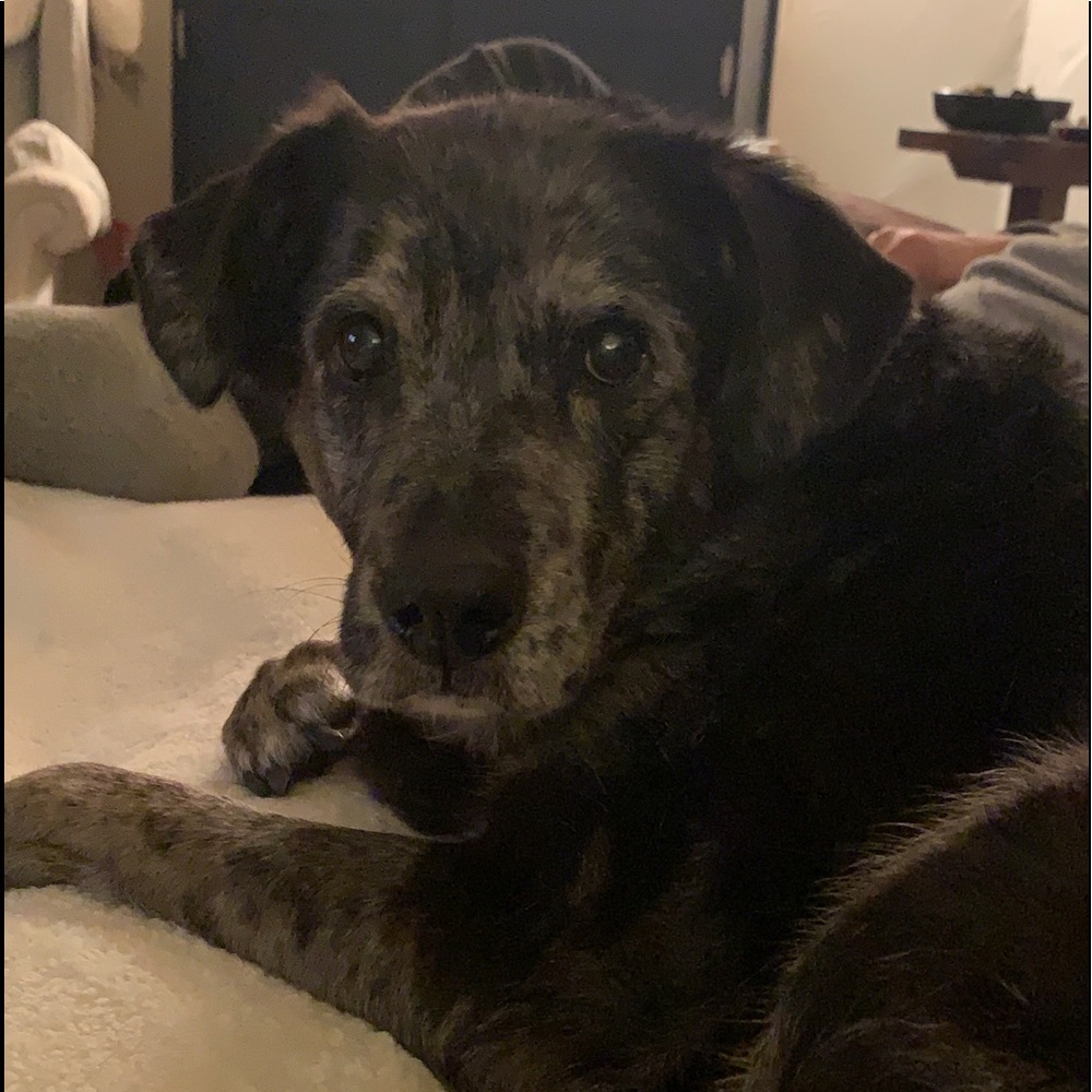 Meet your Posher, Sheri